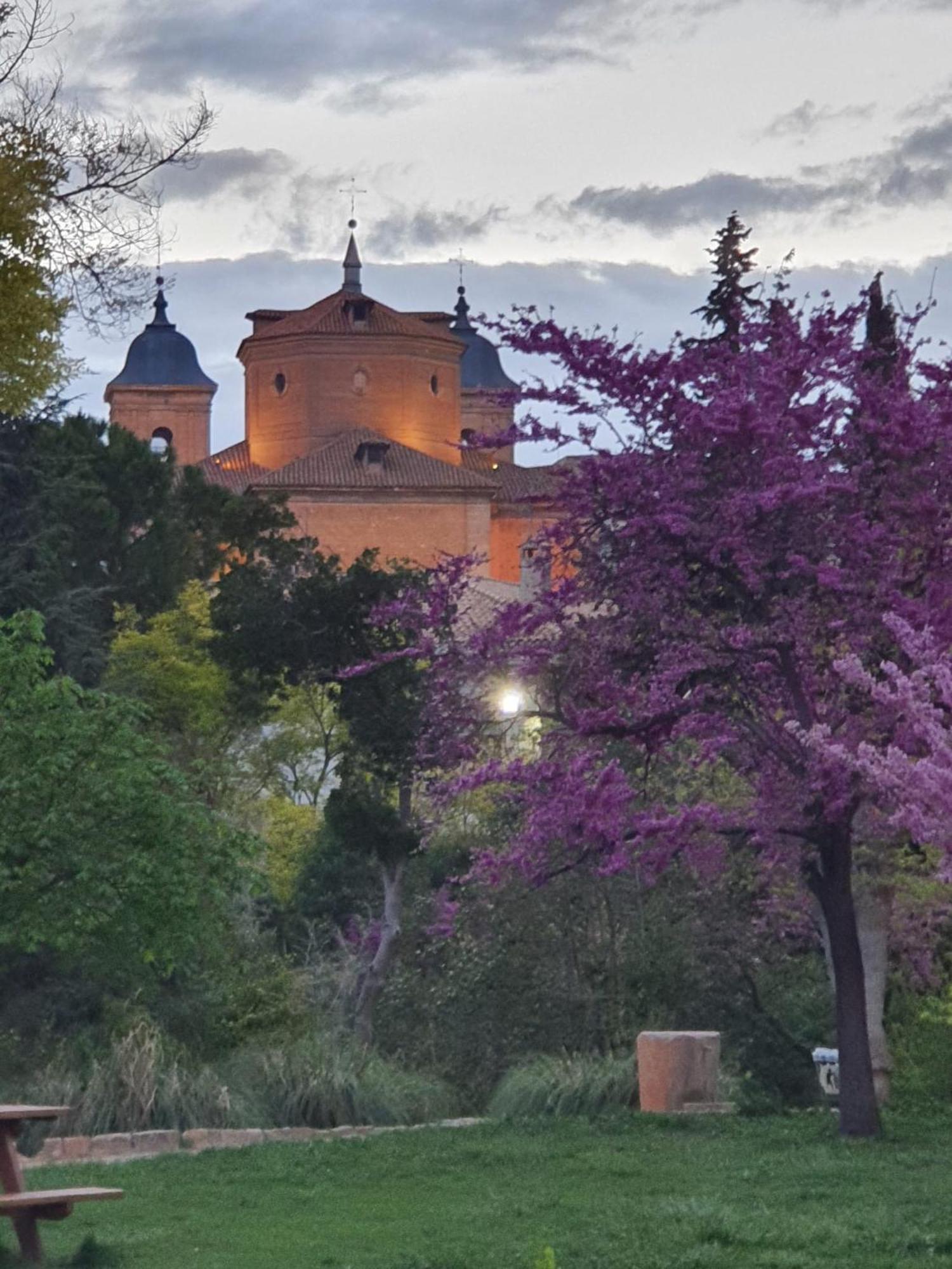 Casa Rural Ramblizo Elche de la Sierra Esterno foto